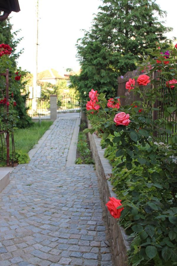 Hotel Radi Sapareva Banya ภายนอก รูปภาพ