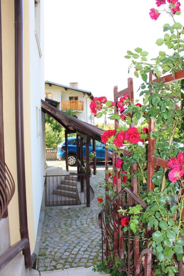 Hotel Radi Sapareva Banya ภายนอก รูปภาพ